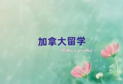(yng)ôW(xu)нǰʮ