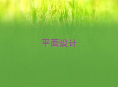 ɽ혵^(q)WpsܛʲôWУ