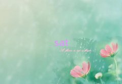 ܿsatA(ch)]