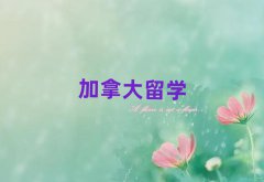 ʯfɽ·Л]ЌI(y)ļôWн]ȥ