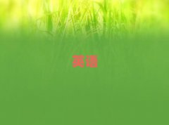 2025K݅Ѕ^(q)W̄ӢZZă