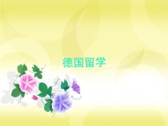 hVĵ(gu)W(xu)C(j)(gu)