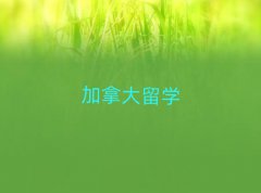 ^(q)ôW(xu)һŶX