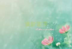 ϾmW(xu)оW(xu)нC(j)(gu)ǼҺ?