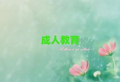 ɽȥW(xu)sat