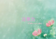 2025^(q)W(xu)ͯעӖ(xn)