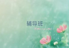 BƸۺ݅^(q)ʮC(j)(gu)