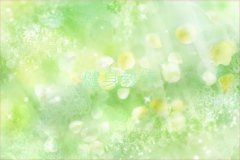 ɶ¶^(q)ʮ̾Ӗ(xn)C(j)(gu)ǰʮxγt