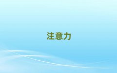 VكxϵKӖ(xn)W(xu)Уǰʮγt