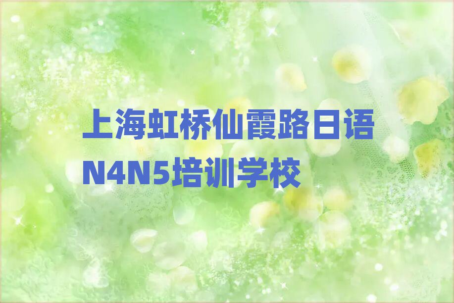 2024Ϻϼ·ZN4N5Ӗ(xn)M(fi)