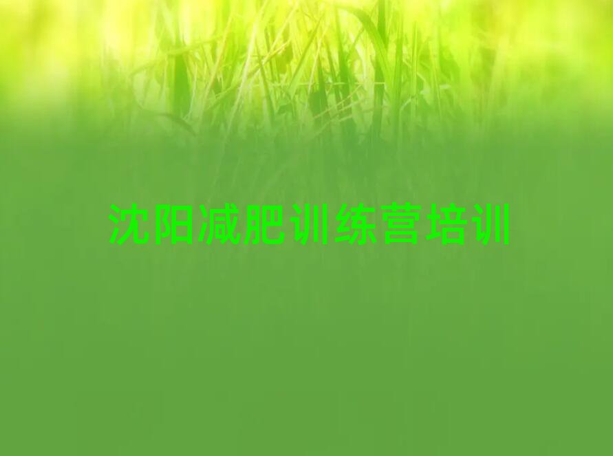 沈陽減肥達(dá)人減肥訓(xùn)練營推薦一覽