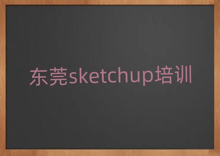 |ݸW(xu)sketchup(bo)ʲôΰ׳t