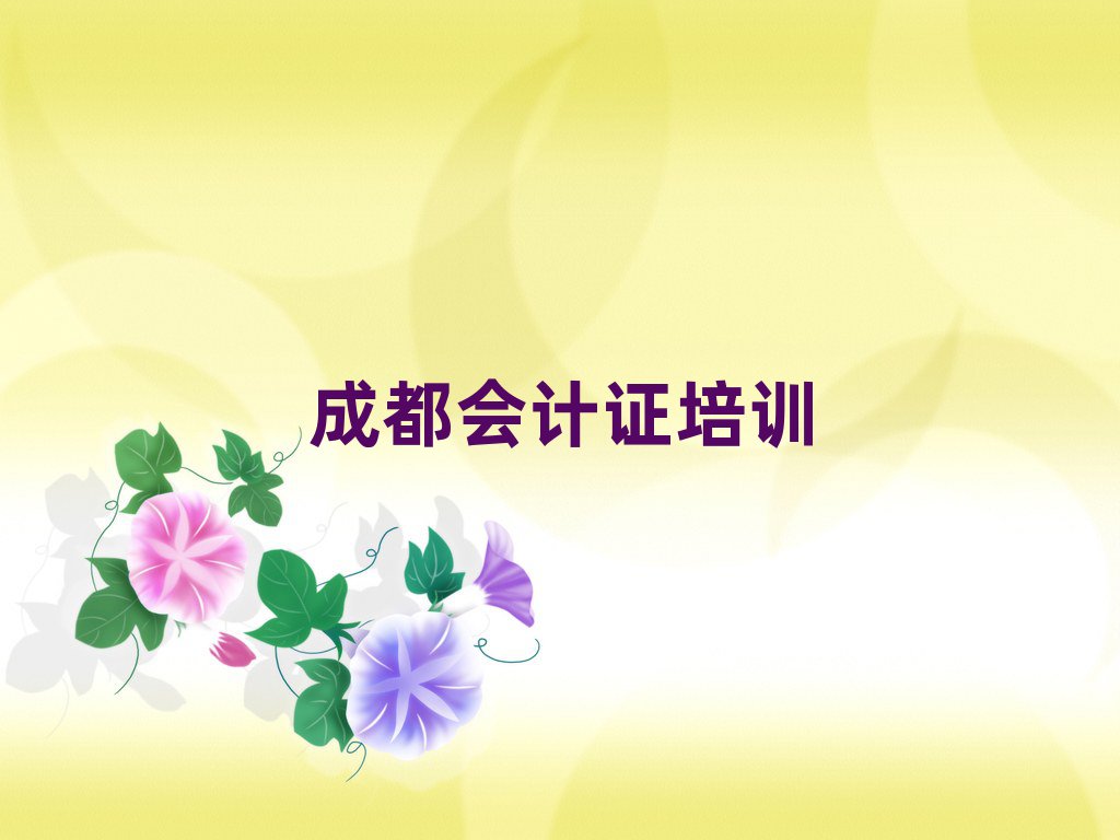 成都會(huì)計(jì)證培訓(xùn)班十大排名
