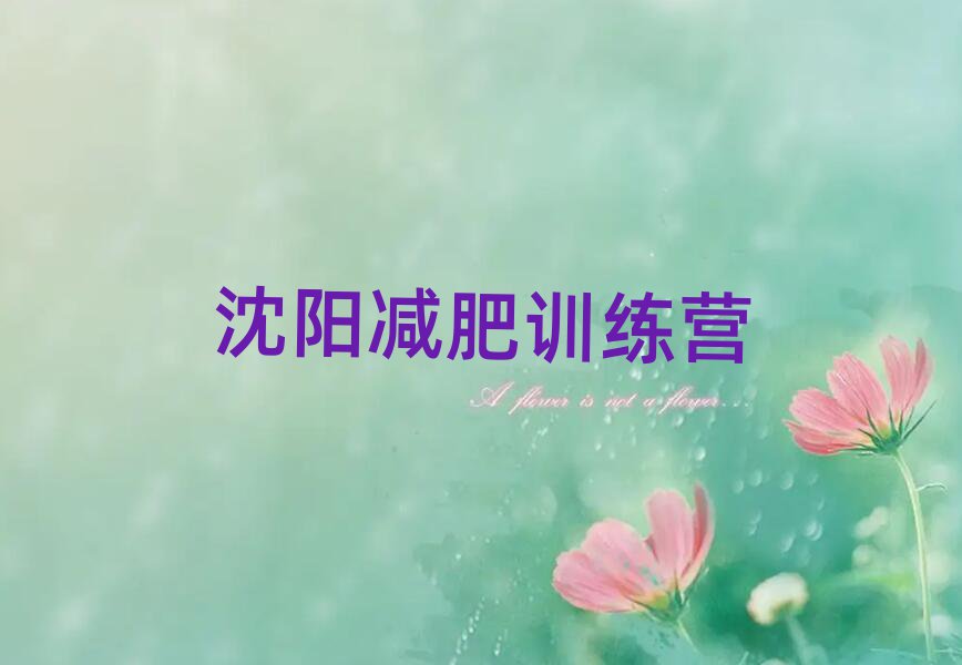 沈陽(yáng)減肥集中營(yíng)多少錢(qián)名單更新匯總