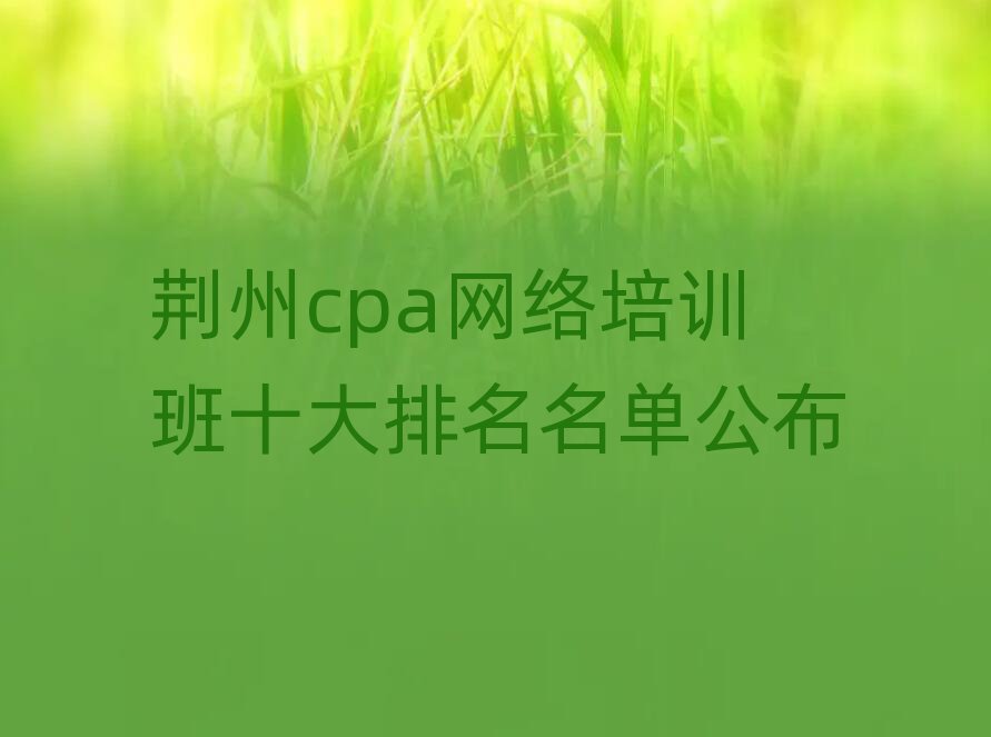荊州cpa網(wǎng)絡(luò)培訓(xùn)班十大排名名單公布
