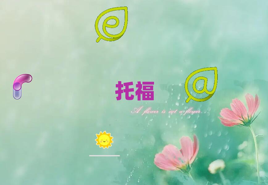 2019QиWУ