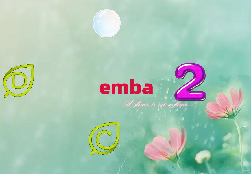 Ї(gu)W(xu)EMBAް(jin)