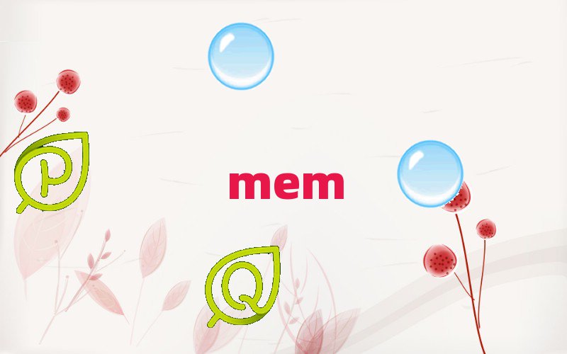 MEM俼