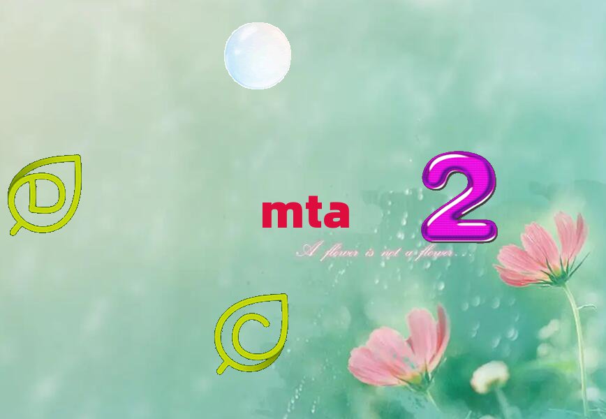 2019W(xu)MTAԇr(sh)g